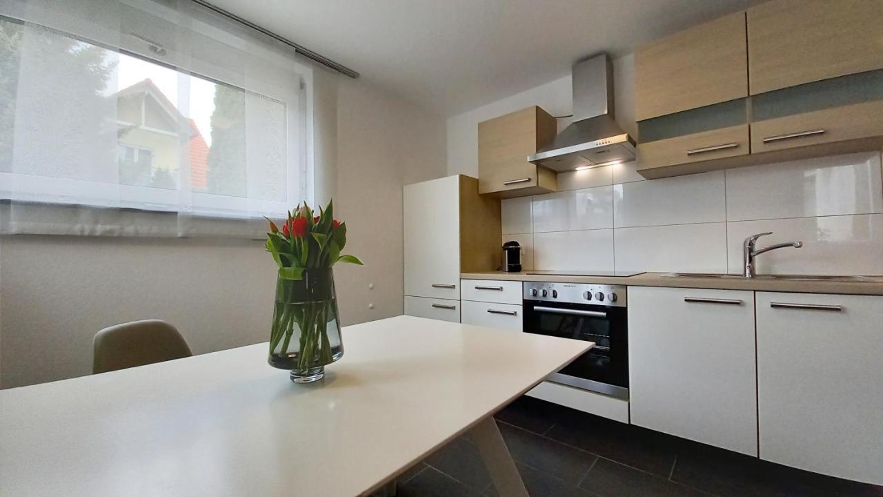 Am Seewald - Ferienwohnung Am Bodensee FDH Dış mekan fotoğraf