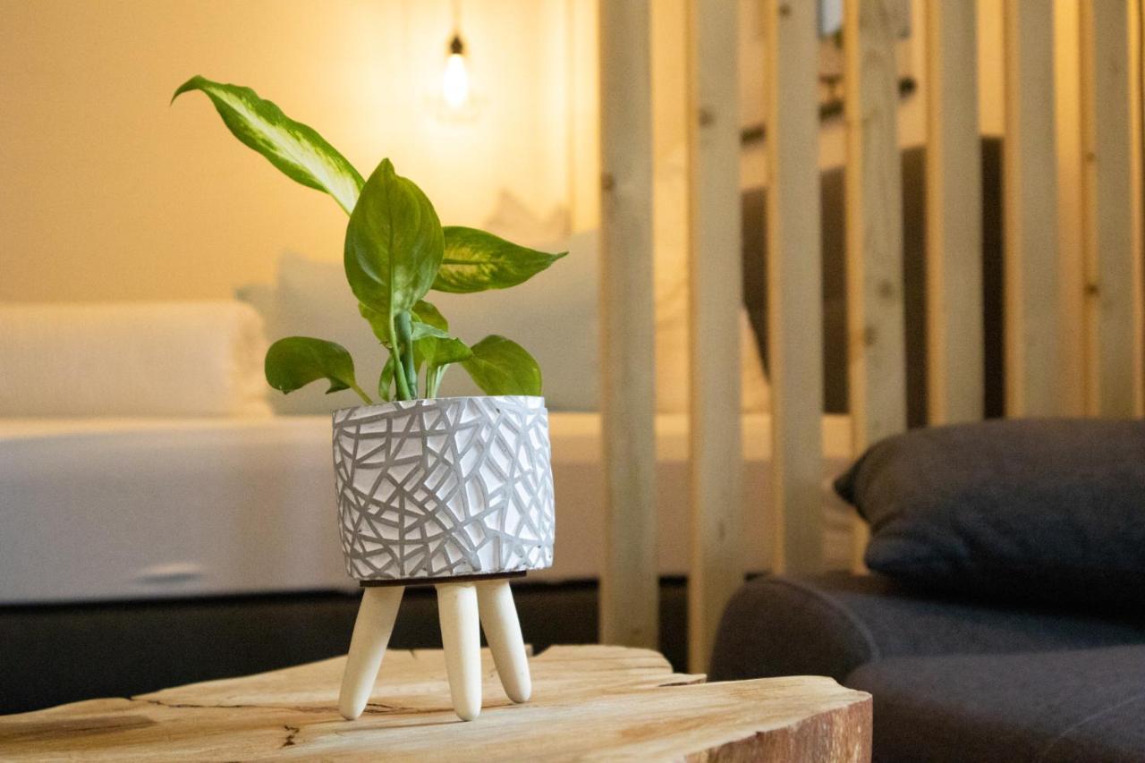 Am Seewald - Ferienwohnung Am Bodensee FDH Dış mekan fotoğraf
